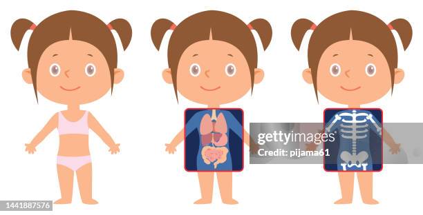 ilustrações de stock, clip art, desenhos animados e ícones de little kid with x-ray screen showing internal organs and skeleton - esqueleto humano