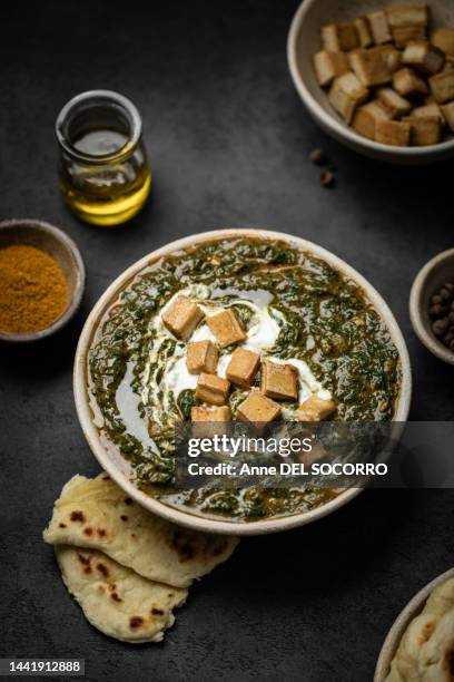 homemade palak paneer indian plate with naan breads, tofu and spinach - plate food photos et images de collection