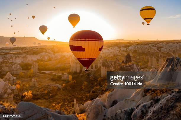 hot air balloons at love valley in cappadocia - air travel bildbanksfoton och bilder