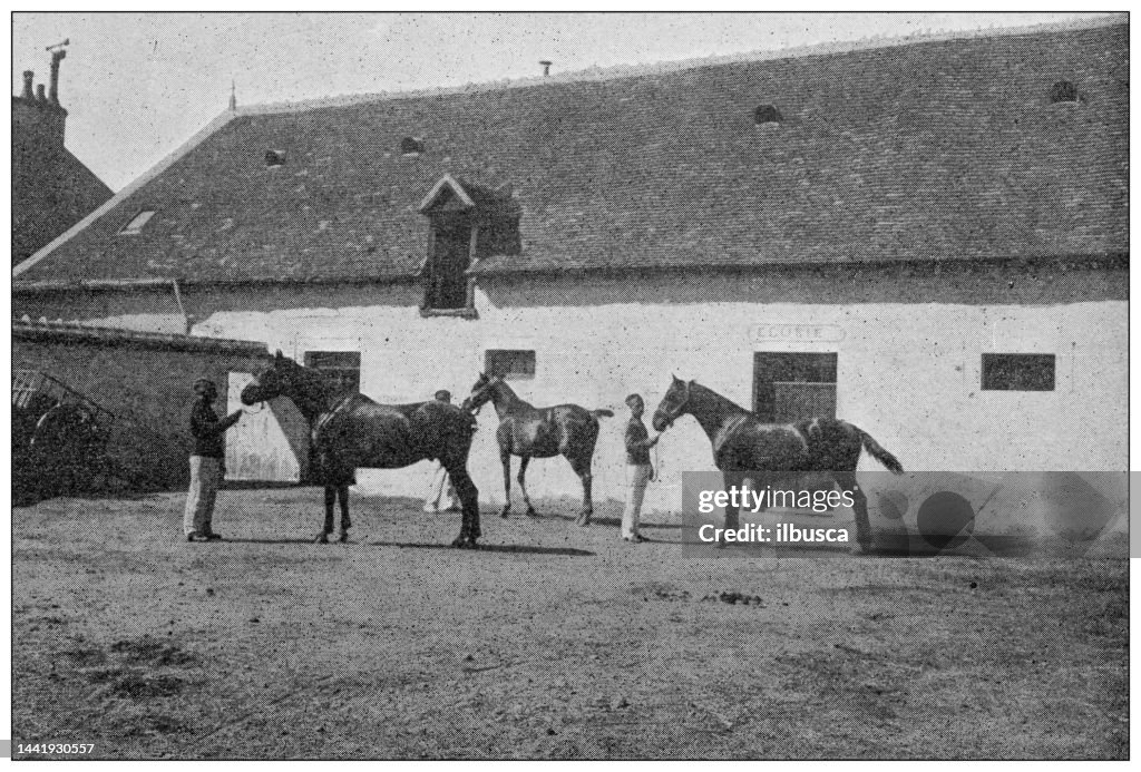 Antique image: Horse training riding stables Bonnavois, Indre