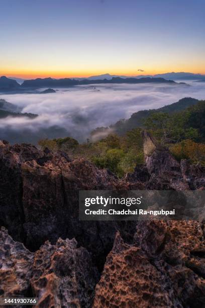 view point phu pha mok, in mae hong son,thailand. - mok stock pictures, royalty-free photos & images