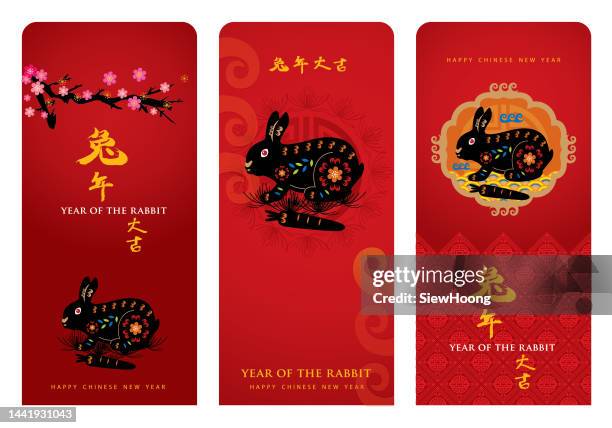 year of the rabbit - 中國元宵節 幅插畫檔、美工圖案、卡通及圖標