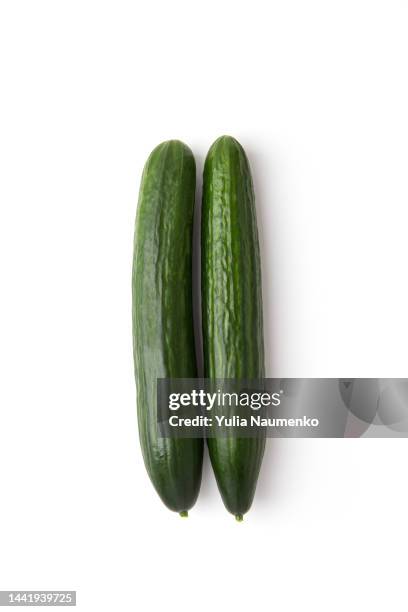 fresh green cucumber isolated on white background. - cucumber imagens e fotografias de stock