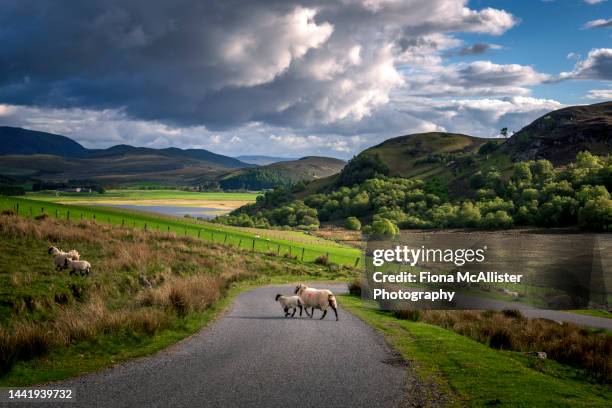 Croachy Light On A Hill Photos and Premium High Res Pictures - Getty Images