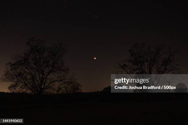 silhouette of trees on field against sky at night,headland,alabama,united states,usa - headland alabama stock pictures, royalty-free photos & images