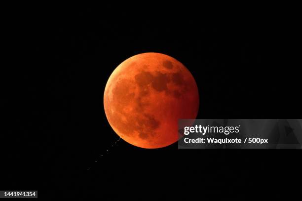 low angle view of moon against sky at night,south korea - space and astronomy stock pictures, royalty-free photos & images