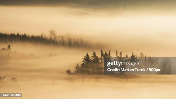 panoramic shot of trees on landscape against sky,czech republic - czech republic nature stock pictures, royalty-free photos & images