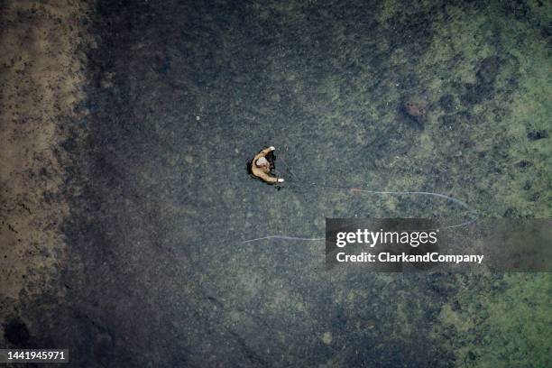 pêche à la mouche en mer baltique au danemark - trout stock photos et images de collection