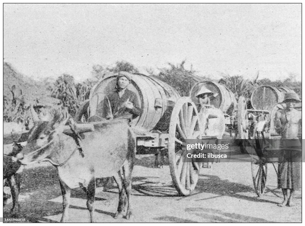 Antique image: Carriages, Tonkin