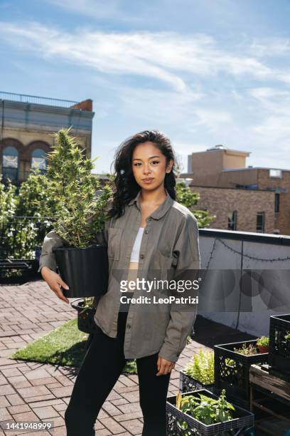 giovane donna con un vaso di piante di marijuana in un tetto di brooklyn new york gaden - bushwick foto e immagini stock