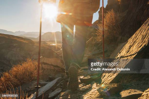 close-up of a woman hiker walking in the mountains at sunset. sport and travel concept. - 登山用ストック ストックフォトと画像