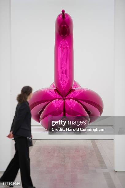 Security guard looks at 'Balloon Swan ' by Jeff Koons during the 'Jeff Koons' exhibition preview at the Fondation Beyeler on May 11, 2012 in Basel,...