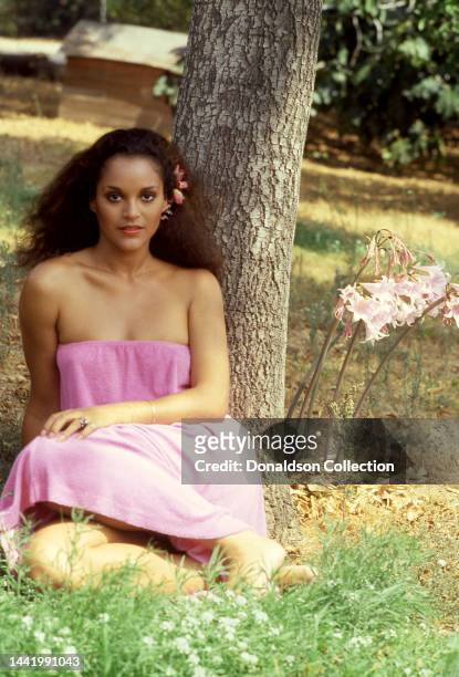 Jayne Kennedy Photos and Premium High Res Pictures - Getty Images