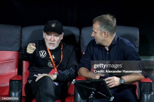 Hans-Dieter Flick, head coach of Germany talks to his assistent coach Hermann Gerland prior to the international friendly match between Germany and...