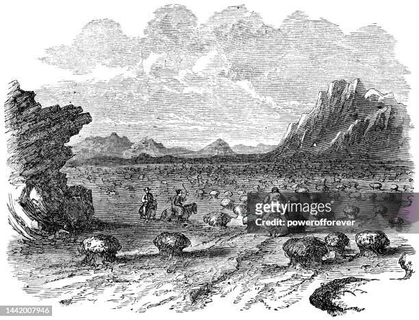 ilustrações de stock, clip art, desenhos animados e ícones de bog hummock landscape in iceland - 19th century - lamaçal