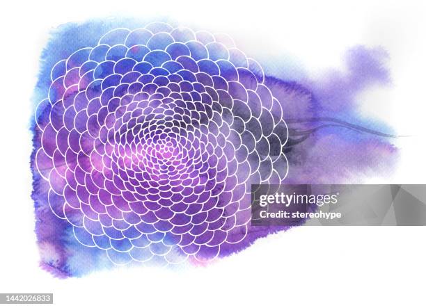 Tree Root Letters Photos and Premium High Res Pictures - Getty Images