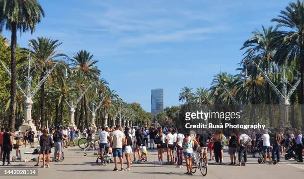 pedestrians and joggers at promenade - large group in park imagens e fotografias de stock
