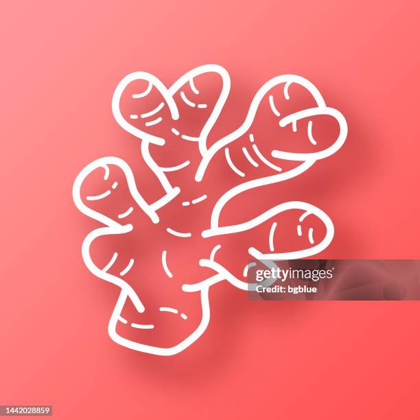 ginger. icon on red background with shadow - ginger root stock illustrations