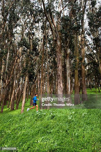 man jogging in a park - the presidio stock pictures, royalty-free photos & images