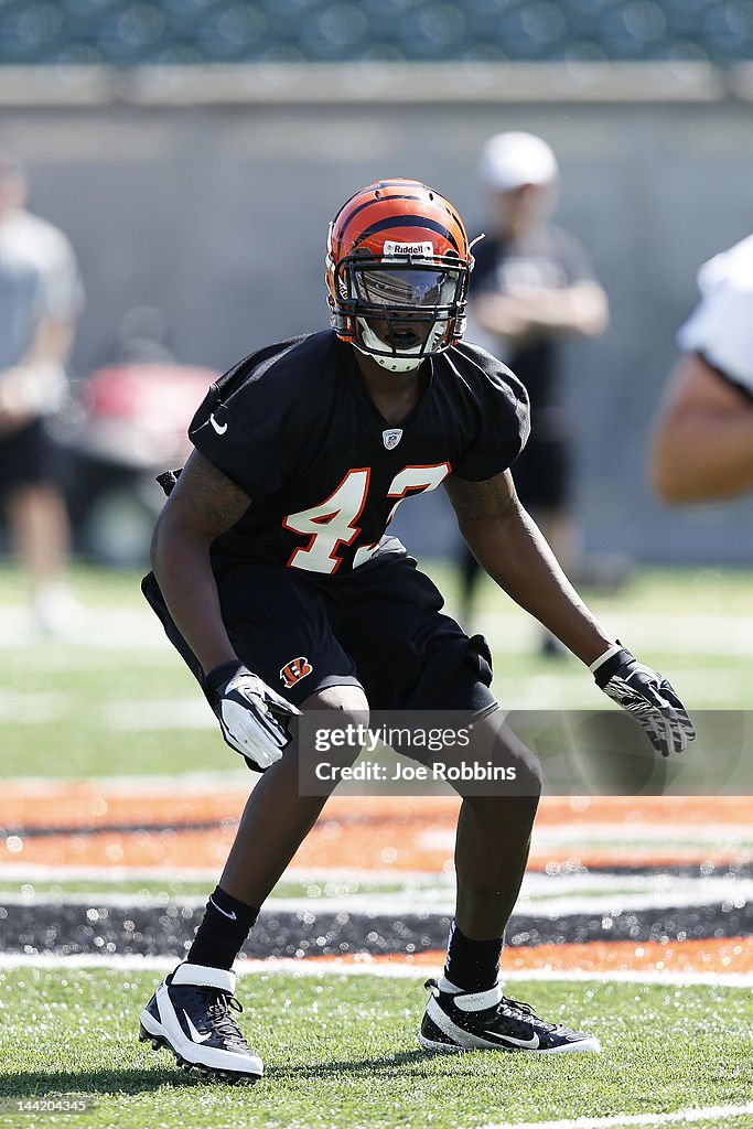 Cincinnati Bengals Minicamp