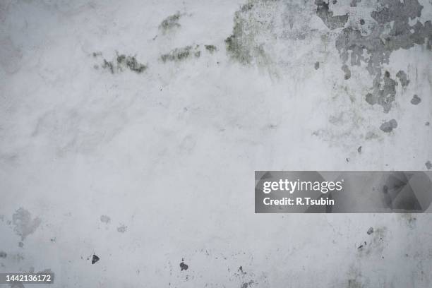 vintage or grungy white background of natural cement or stone old texture as a retro pattern wall - old parchment background burnt stock-fotos und bilder