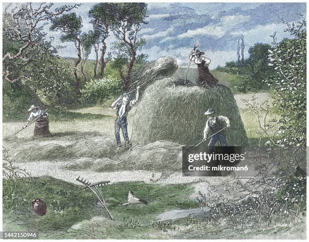 Making A Haystack Haystacks Painting Photos and Premium High Res Pictures - Getty Images