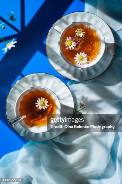 morning teatime with camomile tea, gobo window shadows, blue backdrop flat lay - infusión de manzanilla fotografías e imágenes de stock