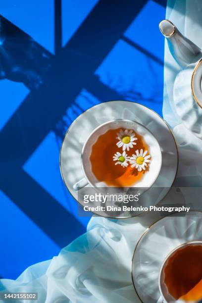 morning teatime with camomile tea, gobo window shadows, blue backdrop flat lay - englische tea time stock-fotos und bilder