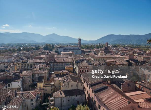 the view from torre guinigi via sant'andrea in the medieval city of lucca - lucca foto e immagini stock