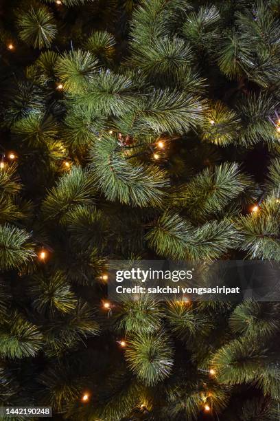 close-up of illuminated christmas tree - evergreen tree stock pictures, royalty-free photos & images