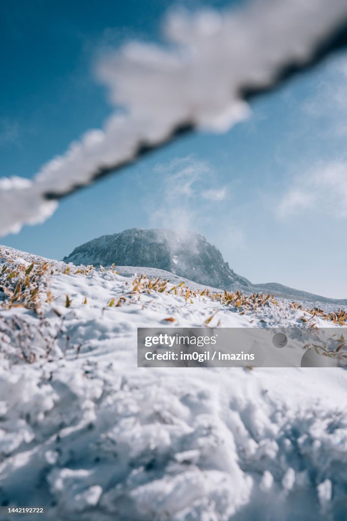 Winter Halla Mountain Yeongsil Course