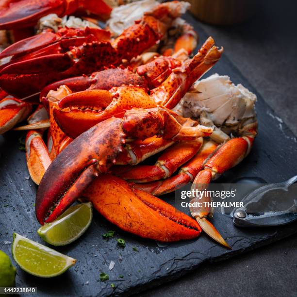 lobster claws and dungeness crab legs ready to eat - dungeness crab stock pictures, royalty-free photos & images