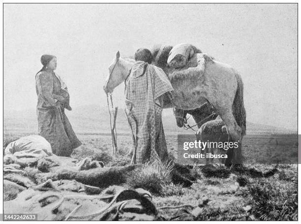 antique image: patagonia, kakatoupoul, rio negro - negro 幅插畫檔、美工圖案、卡通及圖標