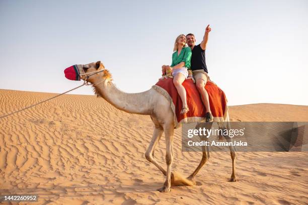 caucasian couple camel riding in dubai - couples dubai stock pictures, royalty-free photos & images