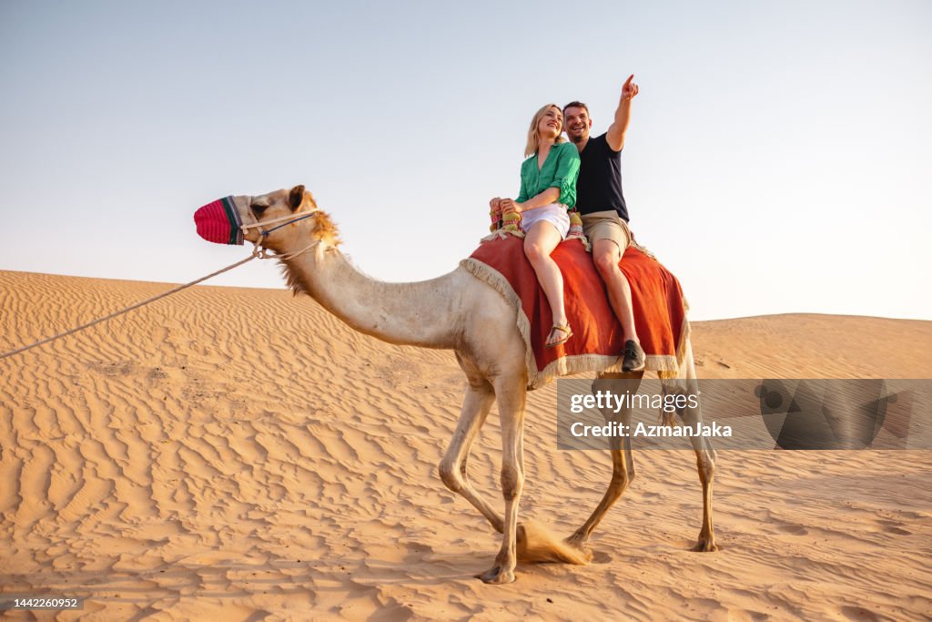 Casal caucasiano andando de camelo em Dubai