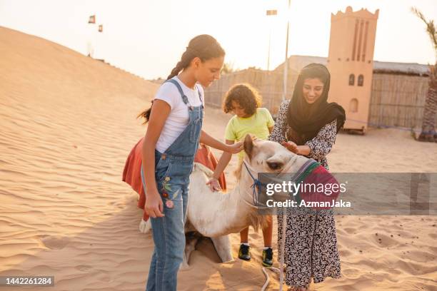 happy family petting a camel on vacation in dubai - happy arab family on travel stockfoto's en -beelden