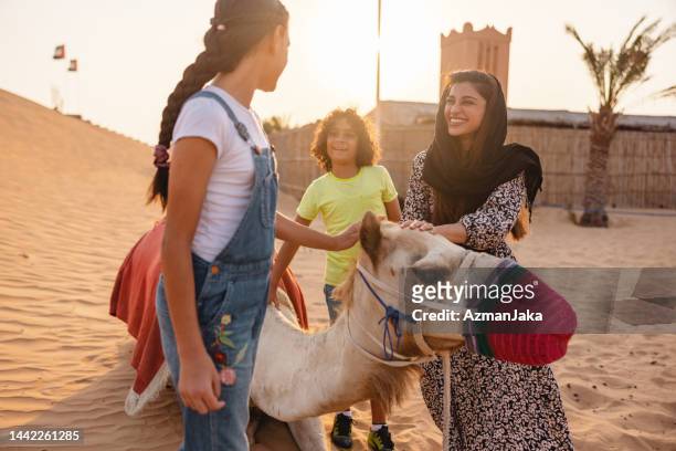 happy family petting a camel on vacation in dubai - happy arab family on travel stockfoto's en -beelden