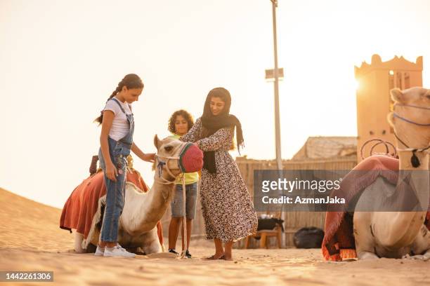 a lovely middle eastern family petting majestic camels before riding on the desert in dubai - hot middle eastern girls stock pictures, royalty-free photos & images