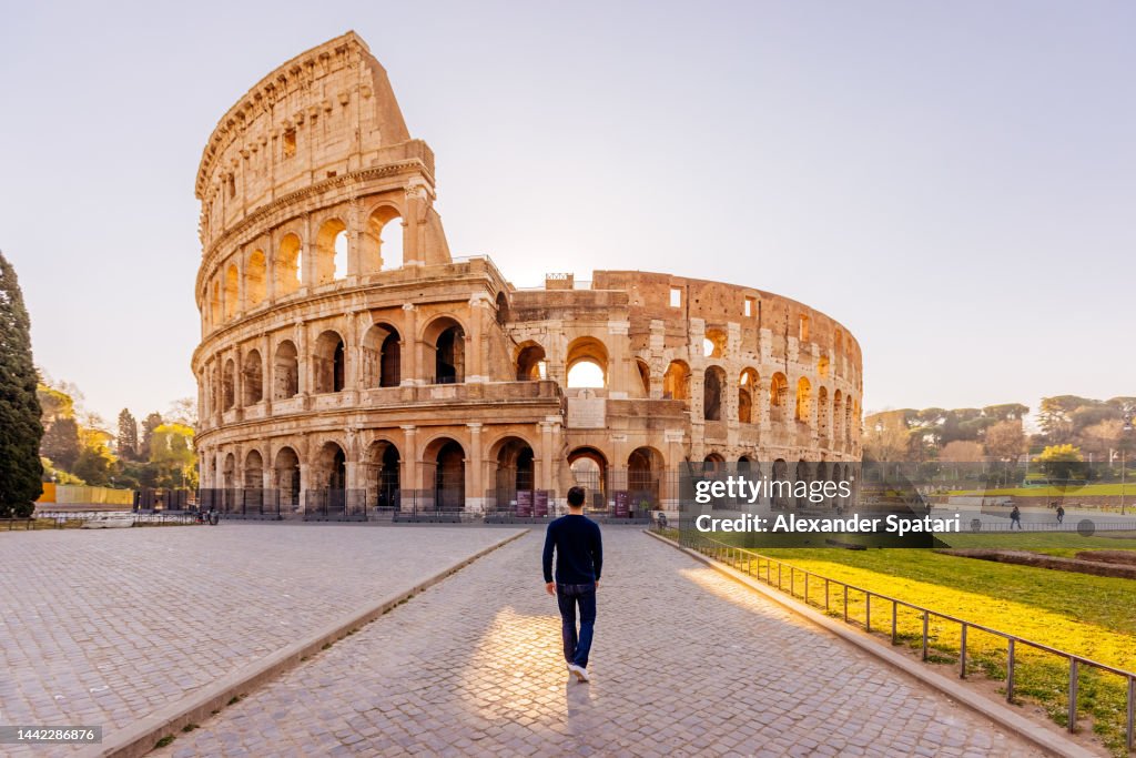 Rear view of a man walking towards Coliseum, Rome, Italy