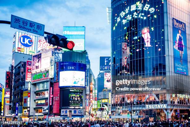 pedestrians at shibuya crossing in tokyo, japan - road signal 個照片及圖片檔