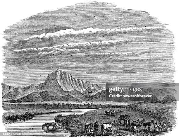 tartar encampment in the ural mountains of siberia, russia - 19th century - tartar sauce stock illustrations