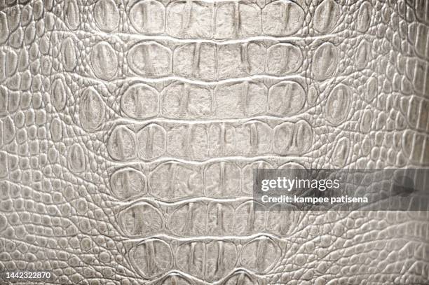 textured background of genuine leather in crocodile skin pattern - reptile pattern foto e immagini stock