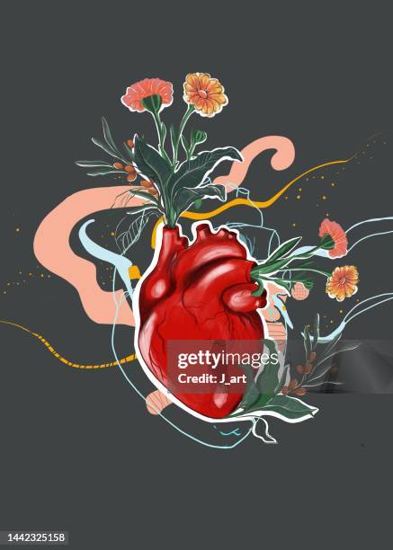 healthy human heart concept. - blood love stock-fotos und bilder