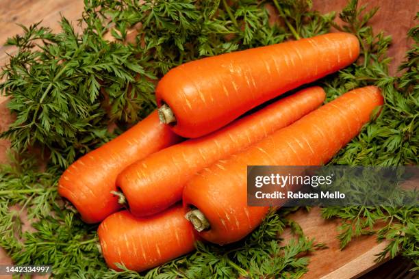 seen from above. some fresh raw carrots in a wooden bowl in  close-up. - carrot stock photos et images de collection