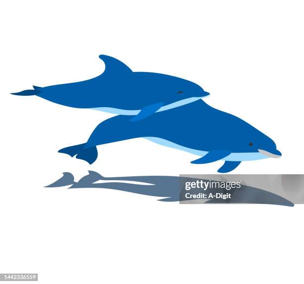 dolphin duo - dolphins stock illustrations