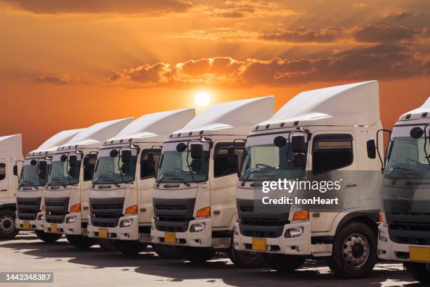 truck fleet with sunset. - truck front view stock pictures, royalty-free photos & images