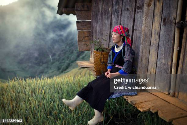 mulher hmong em pé nos terraços do arroz em mu cang chai, vietnã - mù cang chải - fotografias e filmes do acervo