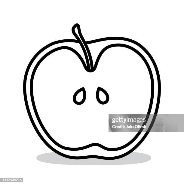 apple cut in half doodle 5 - half and half concept stock illustrations