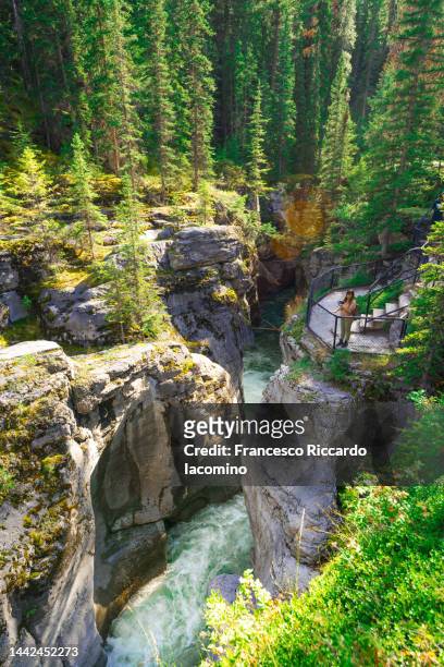 maligne canyon, jasper national park, canada - jasper national park stock pictures, royalty-free photos & images