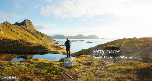 woman enjoys the norwegian countryside - moskenesoya stock pictures, royalty-free photos & images